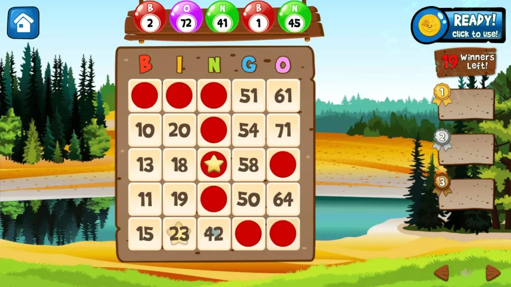 Variations of Bingo cards